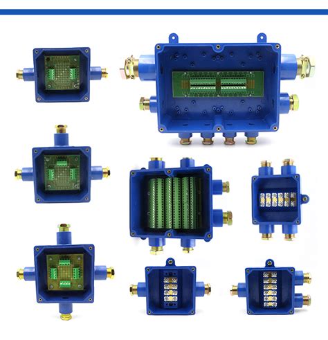 multiple intrinsically safe circuits in one junction box|intrinsically safe cable duct.